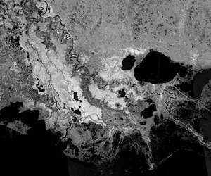 Through the Radar Looking Glass: Revealing Earth Processes with SAR